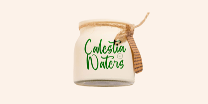 Baghera Thenetta Font Poster 5