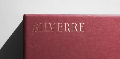 Gelineos Font Poster 9