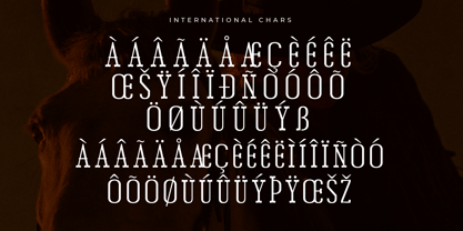 Chery Bomber Font Poster 8