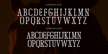 Chery Bomber Font Poster 7