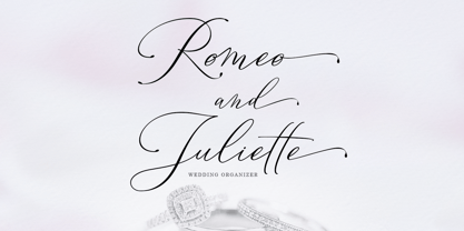 Konesta Calligraphy Script Font Poster 4