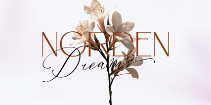 Konesta Calligraphy Script Font Poster 6