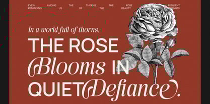 Austyns Sakyra Font Poster 5