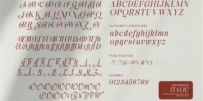 Austyns Sakyra Font Poster 10