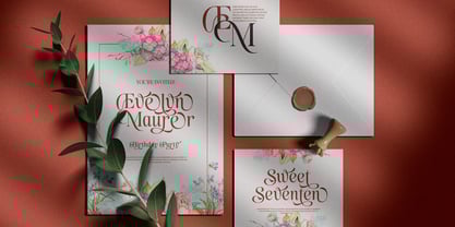 Austyns Sakyra Font Poster 2