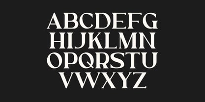 Ethical Mature Font Poster 7