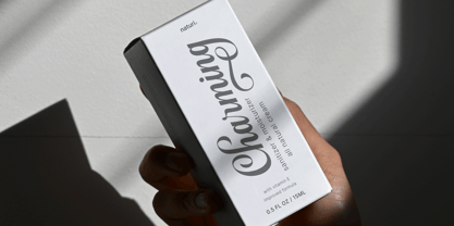 Chryselles Script Font Poster 8