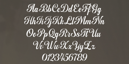 Chryselles Script Font Poster 13