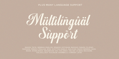 Chryselles Script Font Poster 10