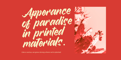 Broklyn Enthusia Font Poster 4