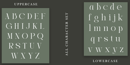 Joilway Font Poster 11