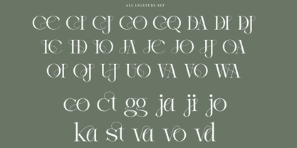 Joilway Font Poster 12