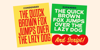 Special Season Font Poster 6