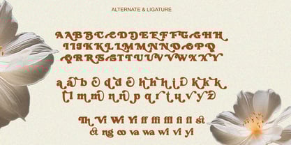 Sad Boldy Font Poster 8