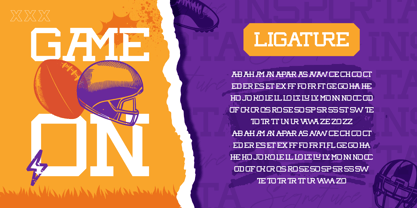Insporta Signature Font Poster 8