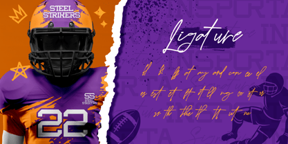 Insporta Signature Font Poster 9