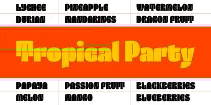 Kanat Latin Font Poster 11