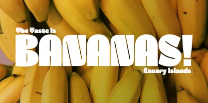 Kanat Latin Font Poster 5