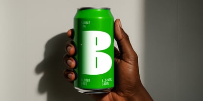 Kanat Latin Font Poster 13