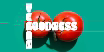 Kanat Latin Font Poster 1