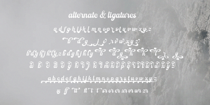 Nostern Script Font Poster 9