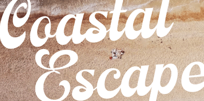 Nostern Script Font Poster 4