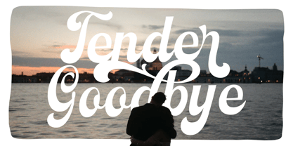 Nostern Script Font Poster 2