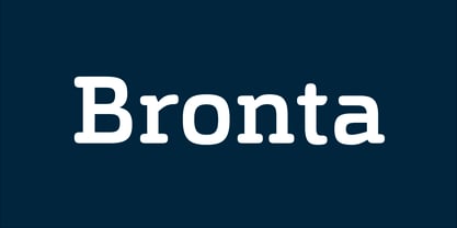Bronta Slab Font Poster 1