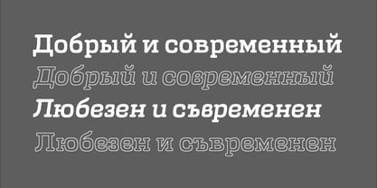 Bronta Slab Font Poster 3