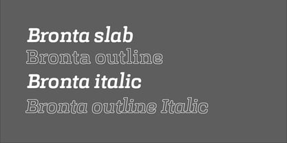 Bronta Slab Font Poster 2