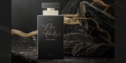 Balinesty Font Poster 7