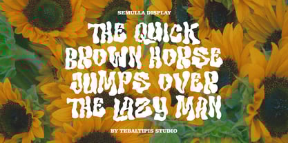 Semulla Display Font Poster 2