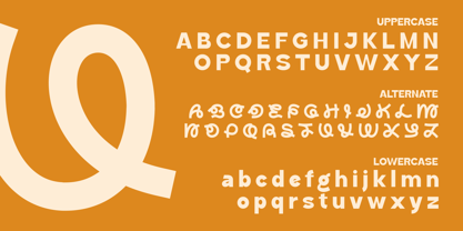 Akira Toru Font Poster 8