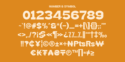 Akira Toru Font Poster 9