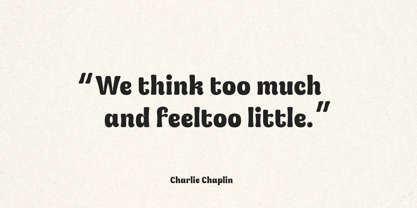 Boldry Display Font Poster 6