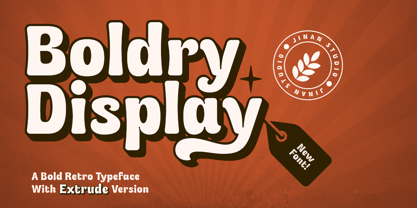 Boldry Display Font Poster 1