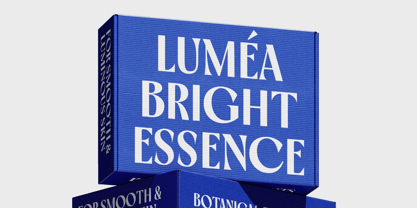 Bluemun Font Poster 6