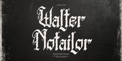 Walter Notailor Font Poster 1