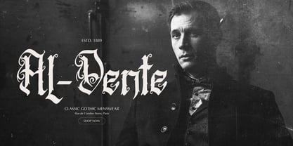 Walter Notailor Font Poster 5