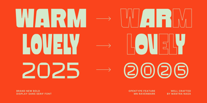 MN Ravenmark Font Poster 10