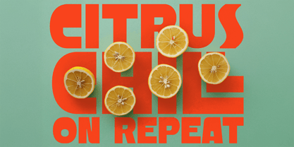 MN Ravenmark Font Poster 4