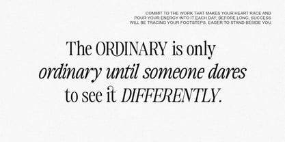 The Zondaya Gevola Font Poster 12