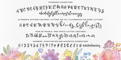 Allegory Font Poster 2