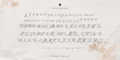 Defalliya Font Poster 12