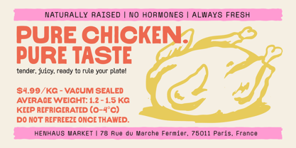 TNSC Pastline Font Poster 4