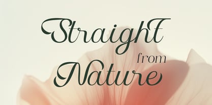 Kalita Font Poster 11