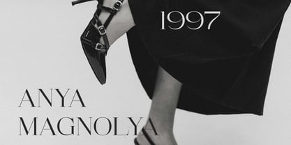 Sesandra All Caps Serif Font Poster 6