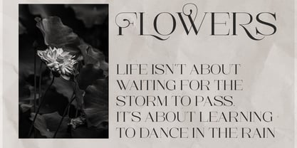 Sesandra All Caps Serif Font Poster 7