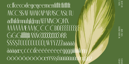 Classic Makore Font Poster 15