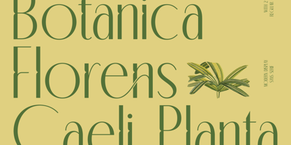 Classic Makore Font Poster 3